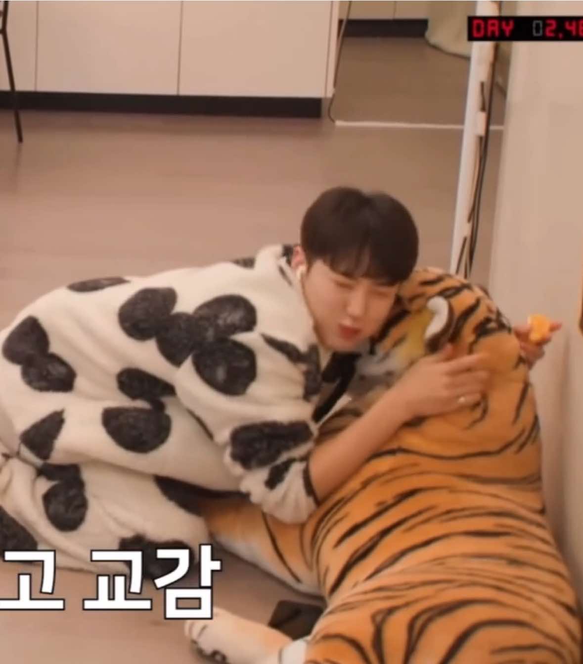 ヘムチな🐯#ホシ #hoshi #seventeen #svt #seventeen17_official #carat #fyp #おすすめ 