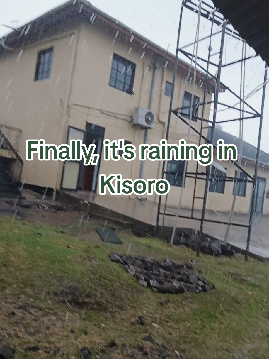 Finally, it's raining.  Goodbye scorching sun.  #foryoupage  #fyp 