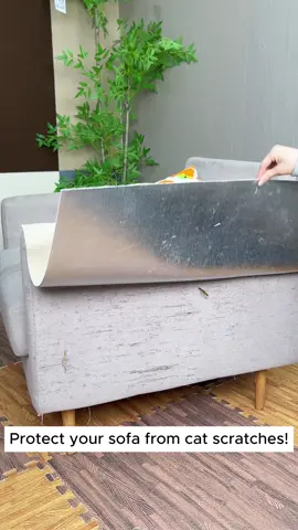 Protect your sofa from cat scratches! #sofa #couch #furniture #homehacks 