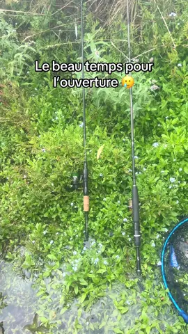 C est pas arrivé depuis longtemps chez nous 🥹 #peche #truite #ouverture #peche #fish 