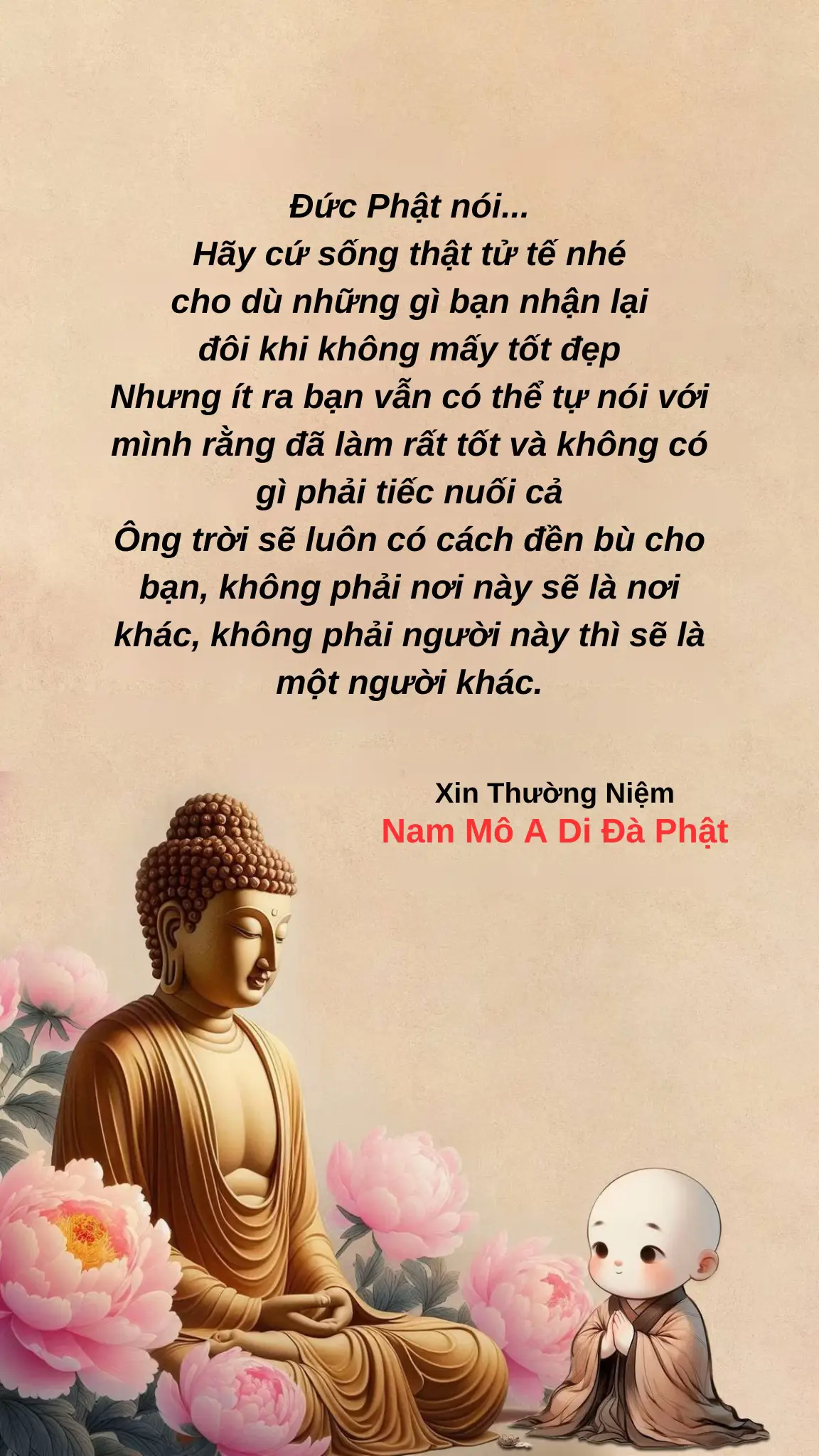#loiphatday #tamansongvui #phatphapnhiemmau #phatphapvadoisong #chiasephatphap #ynghiacuocsong #xuhuong 