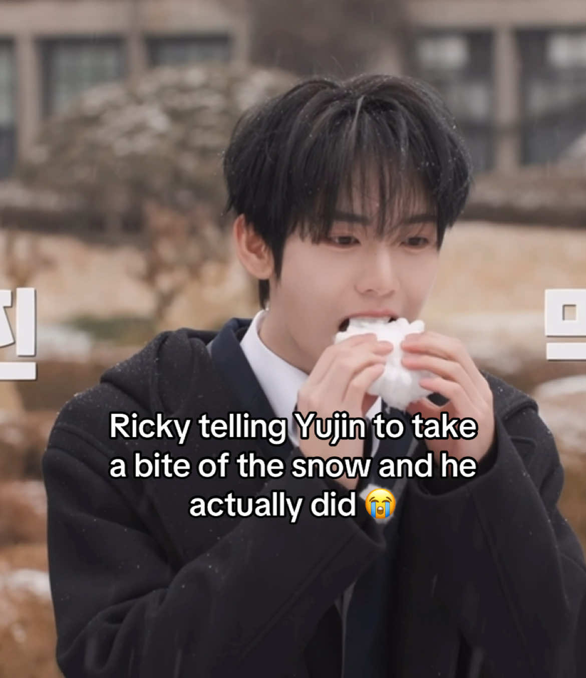 CRYING and the members quickly telling him to not eat it lol #leeknowscookieee #kpop #fyp #foryoupage #viral #zerobaseone #제로베이스원 