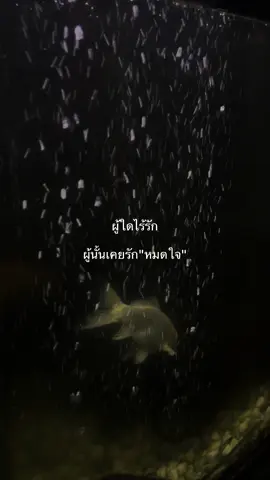 #fyp #เธรดความรู้สึก #เธรดเศร้า 