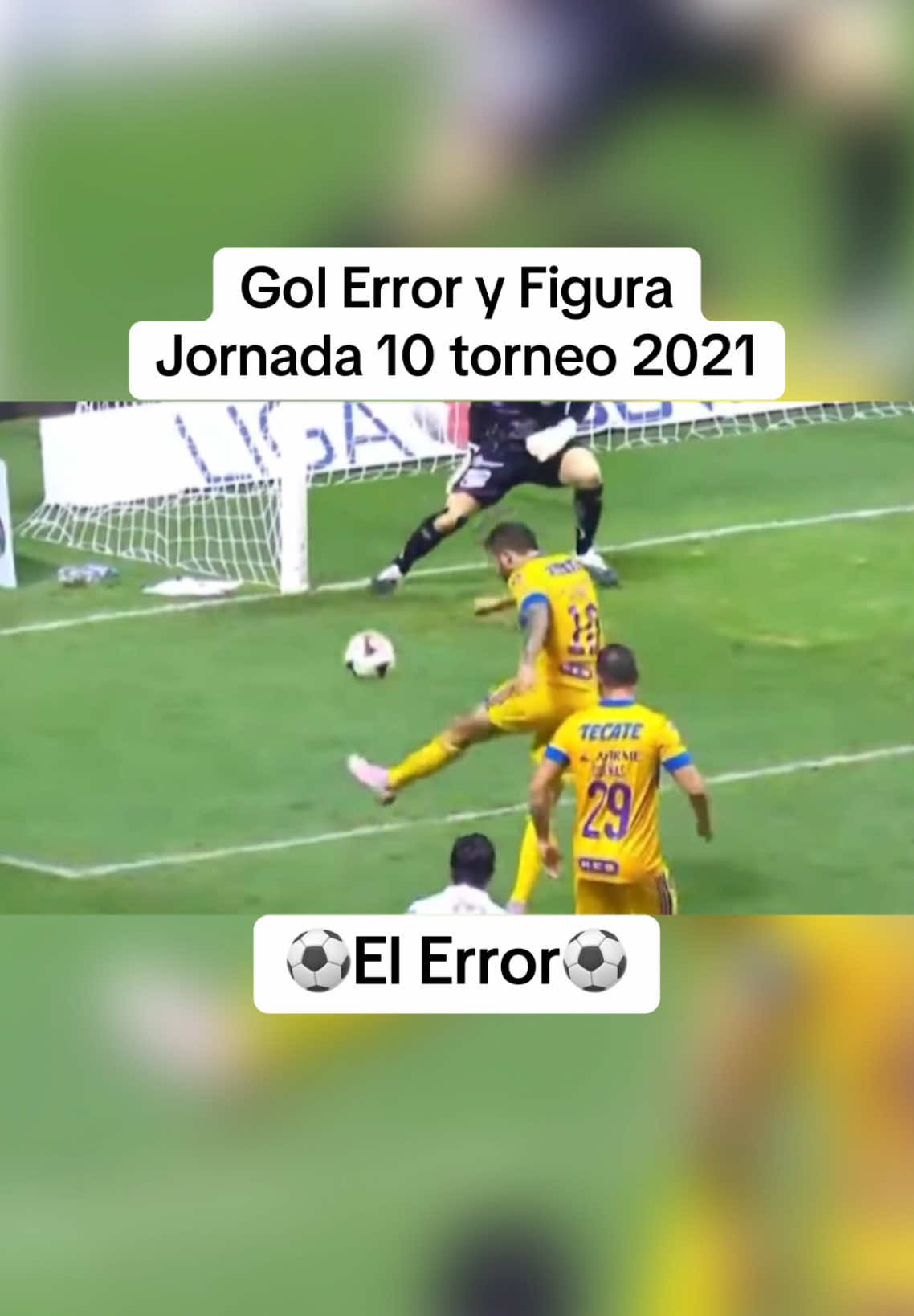 Gol Error y Figura #golerroryfigura #futbolmexicano #futbolinternacional #futboltiktok #futbolmexicano🇲🇽 #futbol⚽️ #futbol #Soccer #fyp 