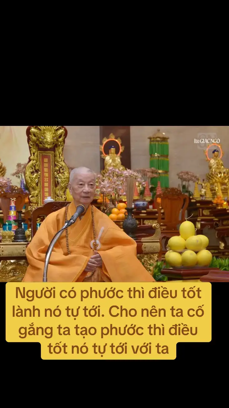 Người có phước thì điều tốt lành nó tự tới. Cho nên ta cố gắng ta tạo phước thì điều tốt nó tự tới với ta. #htthichtriquang #phatphapnhiemmau #nammophaphoahoithuongphatbotat #nammophohienbotat🙏🙏🙏 #nammoadidaphat #phucqui #hocphat #hocphatmoingay #fyp 