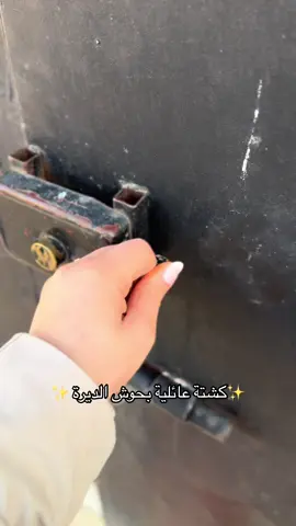 ماشاءالله 🤍#رمضان #الاهل #fyp #foryou #اكسبلورexplore #شيلات #اكسبلور #إكسبلور #tiktok #مالي_خلق_احط_هاشتاقات #بدون_هشتاق #مالي_خلق_احط_هاشتاقات🧢 #شيلات #اغاني #موسيقى 