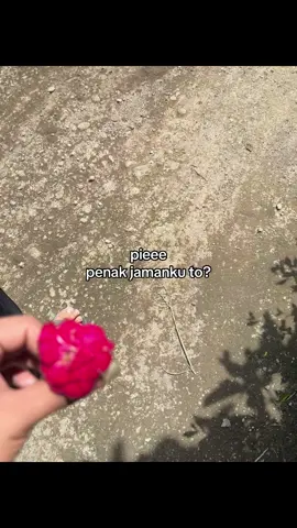 🫣🤣#fyp 