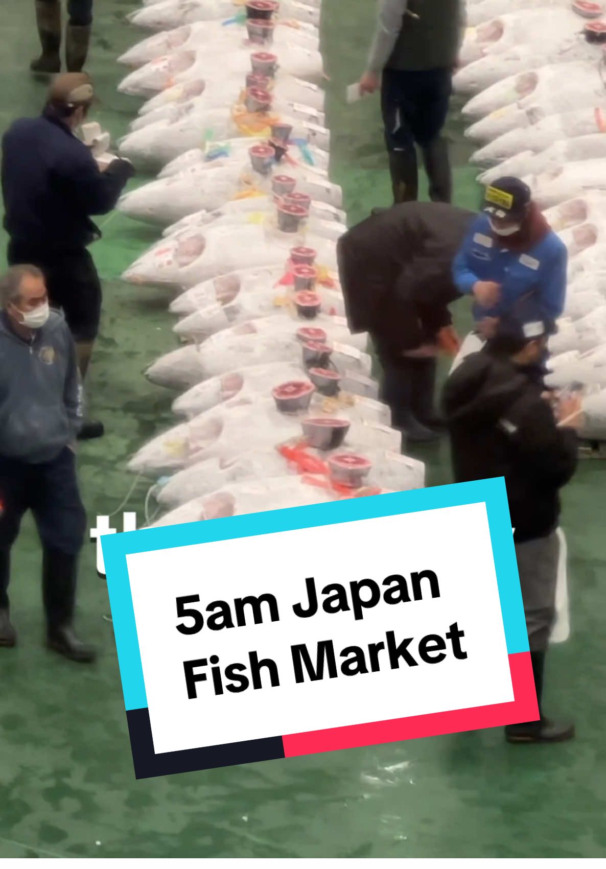 Japan Fish Market