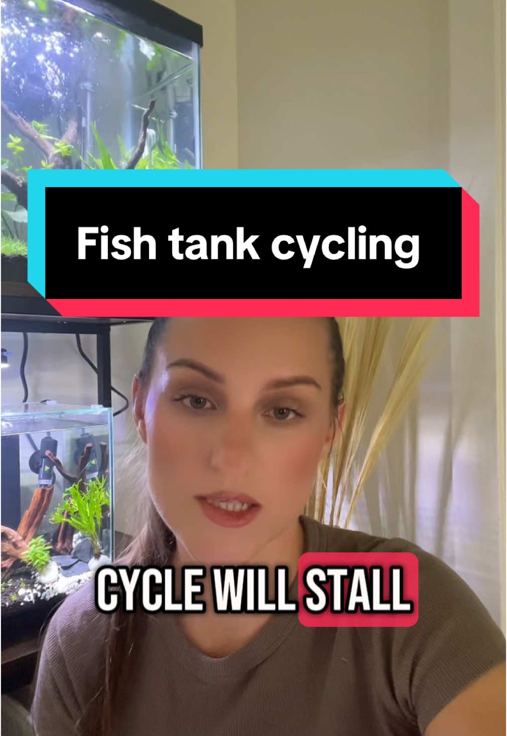 How to fix stalled cycle due to the low pH. #fishlesscycle #fishtok #fishtank #fyp #aquascape #aquarium #freshwateraquarium 