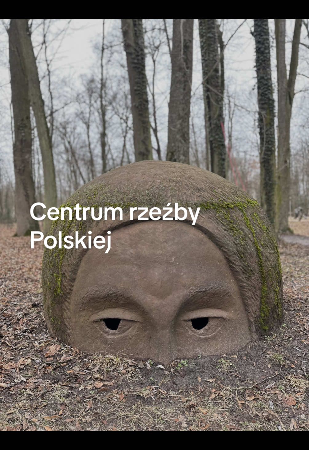 Dziś byliśmy w bardzo ciekawym miejscu - Centrum Rzeźby Polskiej w Orońsku to nie tylko galeria sztuki, ale też ogromny park pełen niezwykłych rzeźb i instalacji.  Dzieci mają tu dużo przestrzeni do biegania, a niektóre rzeźby aż kuszą, żeby je dotknąć.  My bawiliśmy się świetnie i na pewno jeszcze wrócimy! Jeśli lubicie sztukę i szukacie fajnego miejsca na weekendowy wypad – bardzo polecam! Byliście już w Orońsku ?  #yaniart #weekendowywypad #spacerpodwarszawą #centrumrzeźbyworońsku #gdzienaweekend #bliskowarszawy #zdzieckiem #rodzinnyodpoczynek