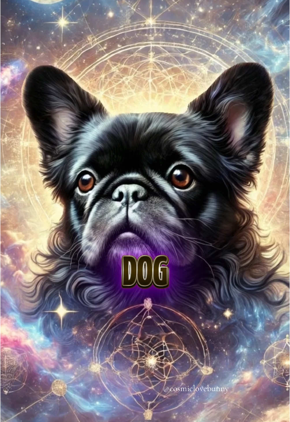 A dog’s spiritual purpose for humanity 🐾💎✨##Dogs##DogsJourney##DogsPurpose##SpiritualAwakening##SpiritualMessages##anubis