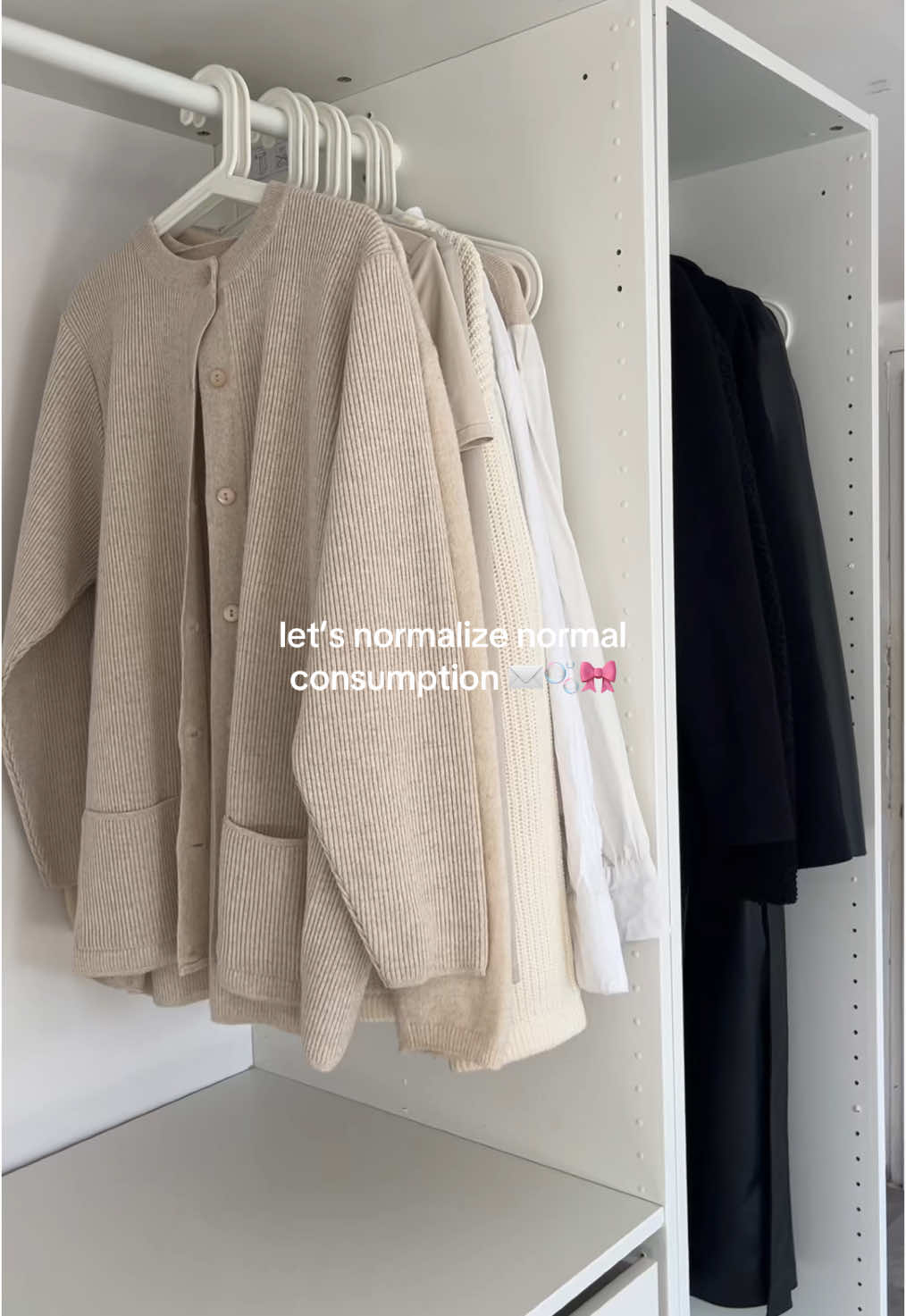 overconsumption < normalconsumption #overconsumption #normalconsumption #CleanTok #minimalist #minimalism #clutter #decluttering #closettour #closet #fouryou 