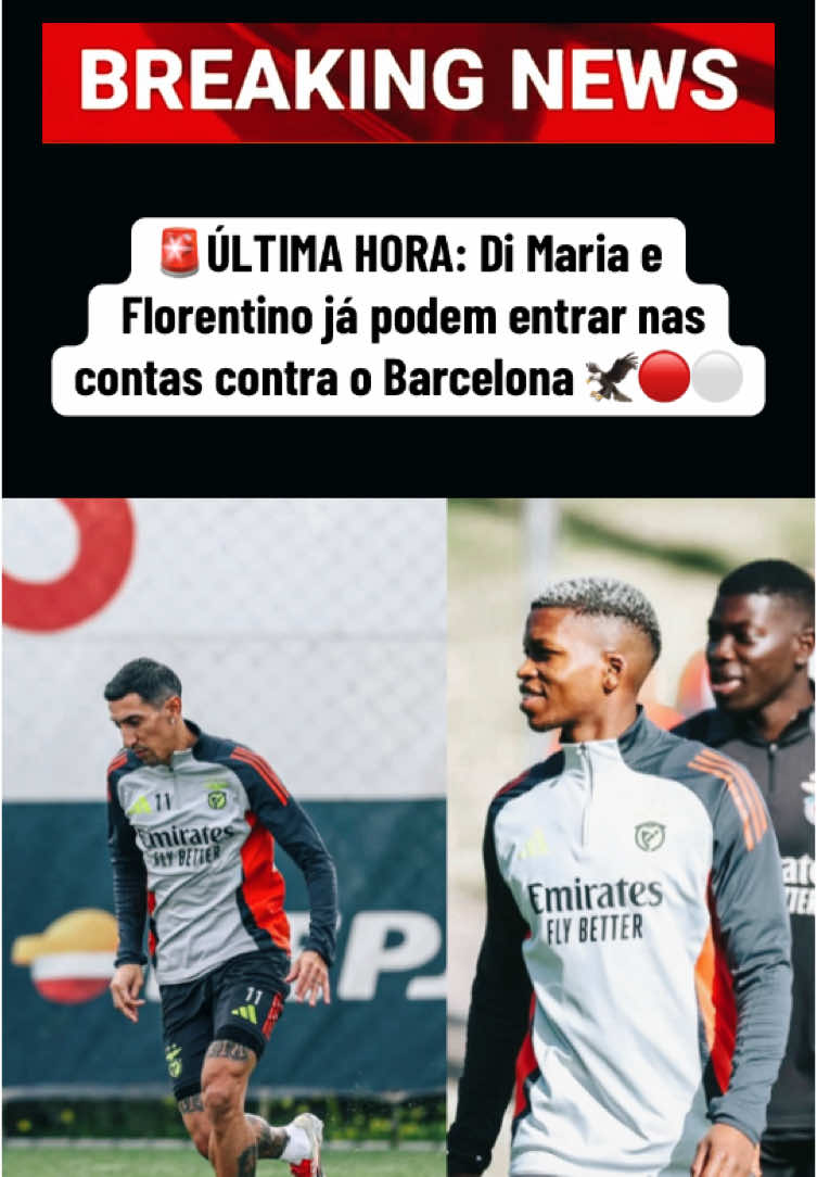 🚨Boas notícias para o Benfica 🦅🙏🏻❤️ #slb #slbenfica #amobenfica #benfiquista #sportlisboaebenfica #benficaatemorrer #euamoobenfica #fyp #foryou #foryoupageofficiall #foryoupage #fy #viral #1904🔴⚪🦅 