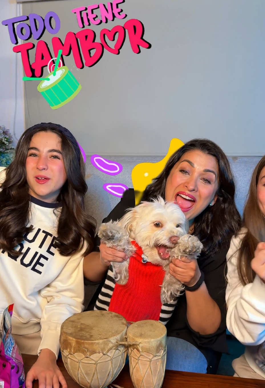 Galleta ya sabe tocar el tambor! 🥁 💓comparte el video con tu mascota 🐶🎶 #TodoTieneTambor #laracampos #trend #viral #parati 
