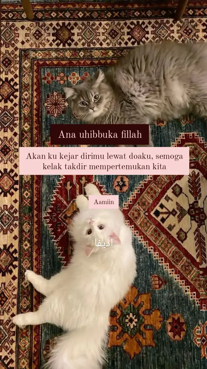 #takdir #takdircinta #takdirallah #jodoh #jodohpastibertemu #syaircinta #cinta #halal #pasanganhalal #quotes #storytime #sahur #arabicsong #anauhibbukafillah #fyp #fyppppppppppppppppppppppp #fypage #foryou #foryoupage #4u #bismillahfyp #masukberandamuu #masukberandafypシ #trending #trend #viral #katakata #arabicquotes #semogafyp #kamu #aamiin #wakafabillahisyahida #thepowerofjalurlangit #jalurlangit #thepowerofdoa #kekuatandoa 