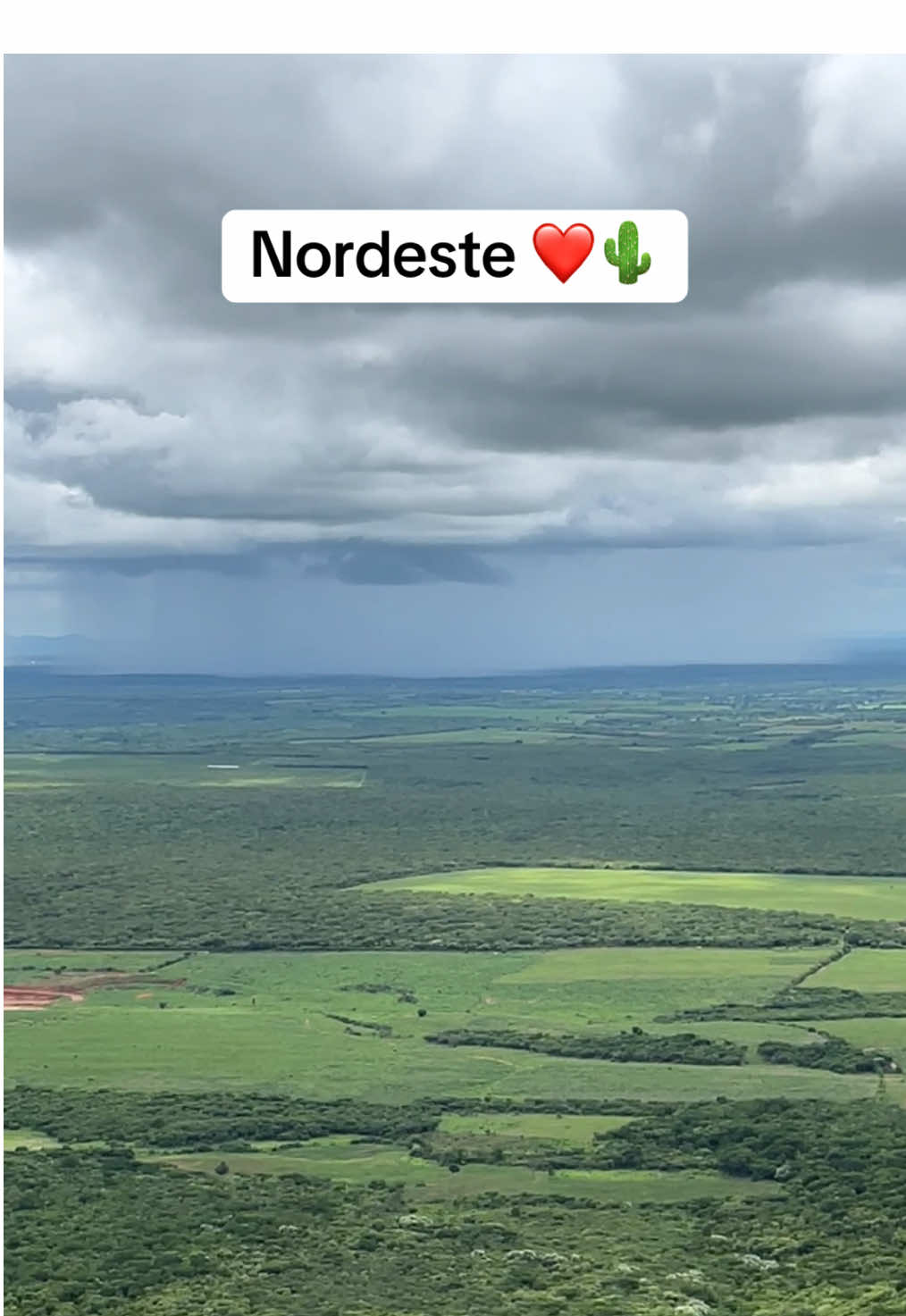 #nordeste #chuva #interior #ceara #inverno #paisagem #foryoupage #fouryou #viraltiktok #❤️ #🌵 