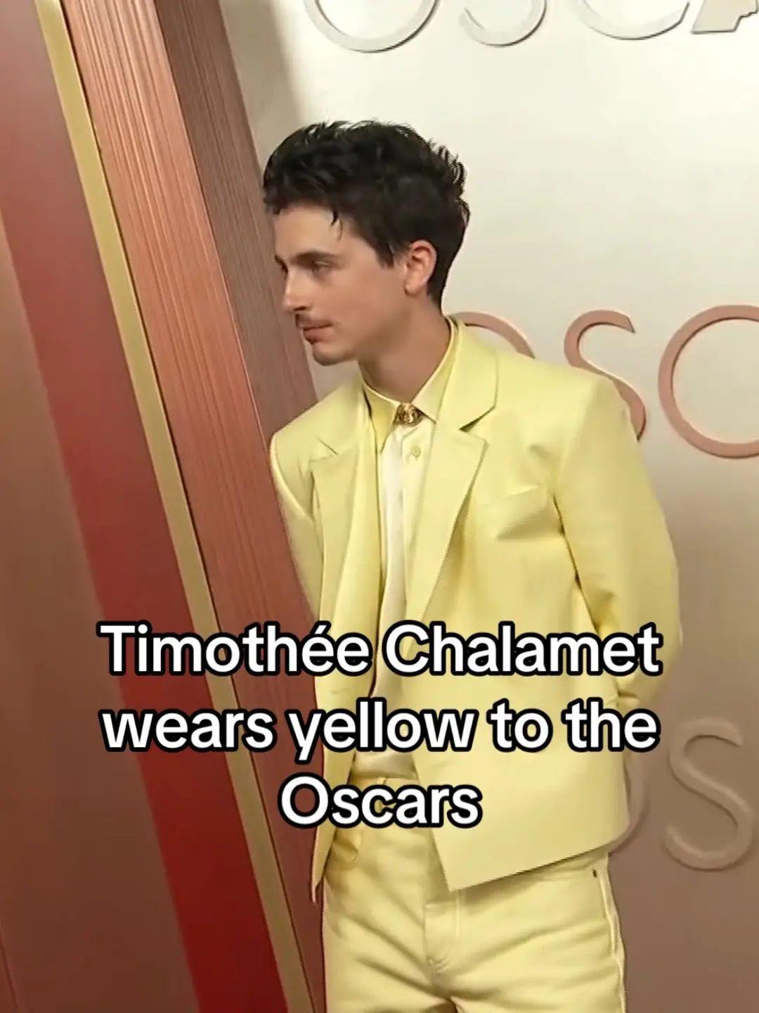 #foryou #fyp #timotheechalamet #oscars #foryoupage #hollywood 