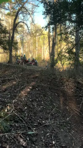 All the boys got together this evening  to do some ripping! 🤟🏻 What did you guys do with your sunday? #pitbike #dirtbike #honda #fasterminis #bbr #crf110 #klx110