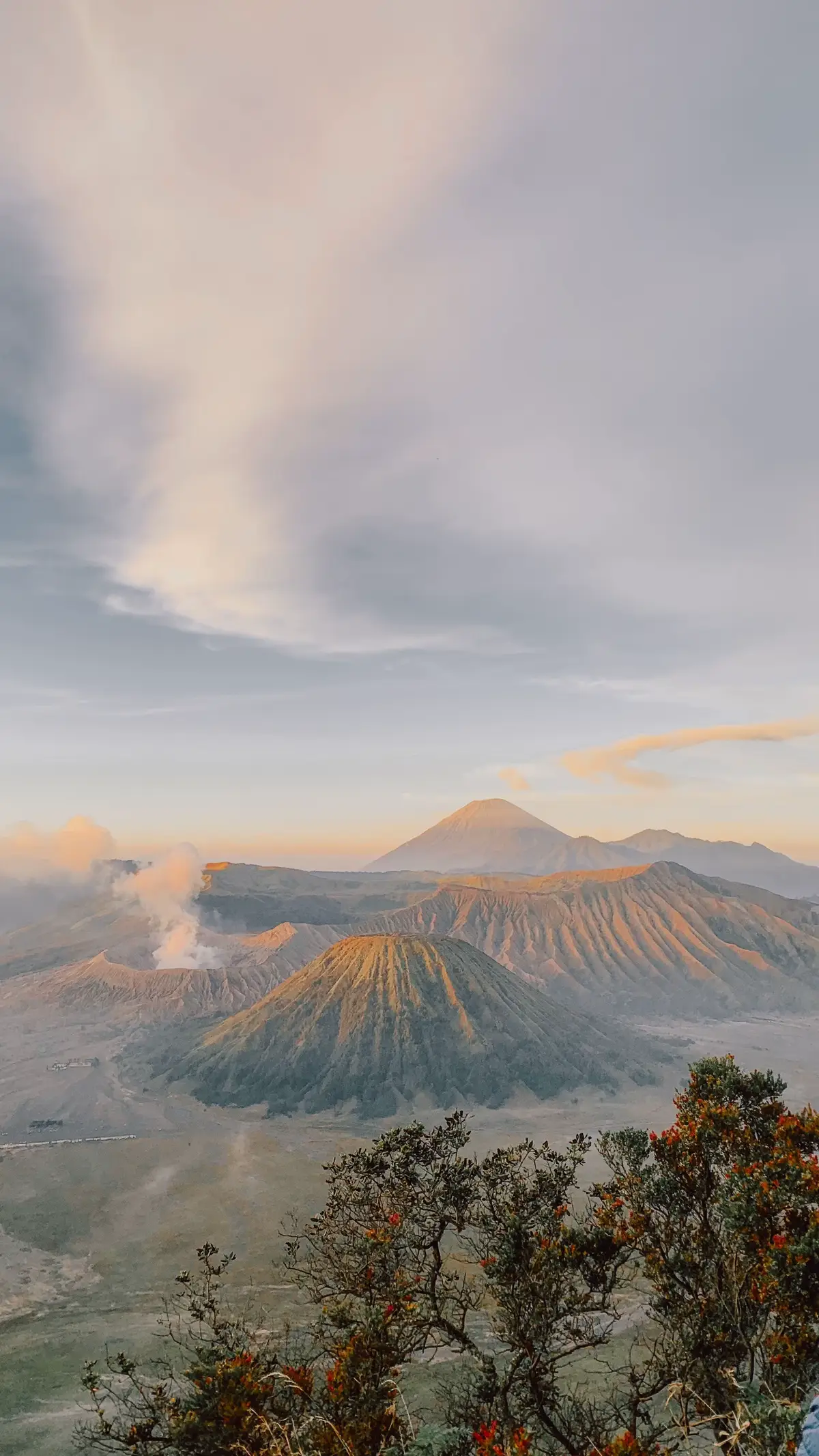 ni yg minta spil foto bromo🤗#fyp #bromo #bromotenggersemeru #sunrisebromo 