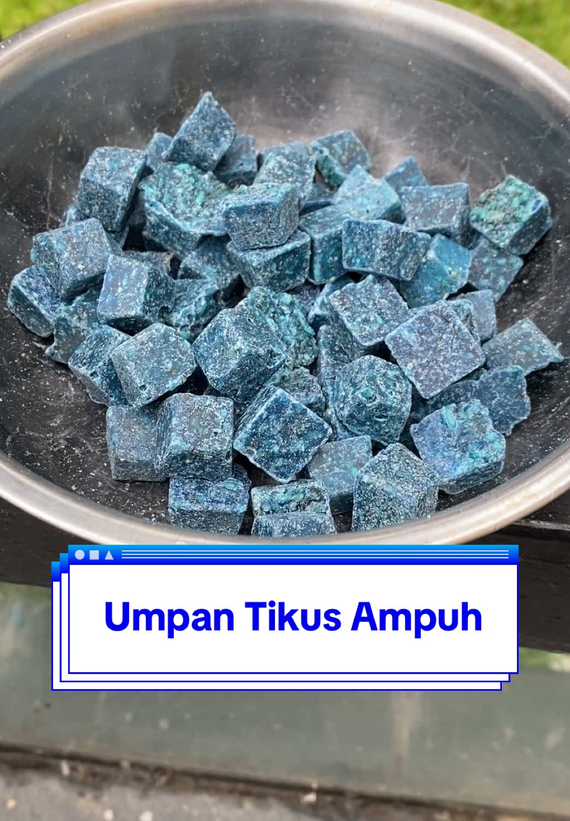 Selain membersihkan hati menjelang bulan Ramadhan, perlu juga membersihkan rumah dan kantor dari tikus2 liar nihh.. aku ada rekomendasi umpan tikus yg bikin mati kering dan ga bikin bau. Cek keranjang yaa #tikus #tikusberdasi #tikusgot #racuntikusviral #umpantikus 