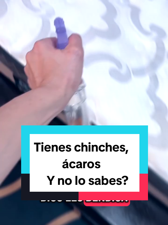 Tu cama tiene chinches, ácaros uno lo sabes? Eliminalos con este remedio natural. #remedionatural #medicinanatural🌿 #acaros #chinches #canela #alcohol #vinagre #salud #natural #remediocasero 