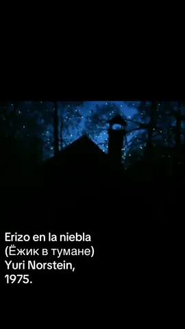 #domingo #sunday #fyp #fyourpage #marzo #march #sonoroysentimental #animatedfilm #animacion #cortosovietico #yurinorstein #hedgehoginthefog #erizoenlaniebla #1975 