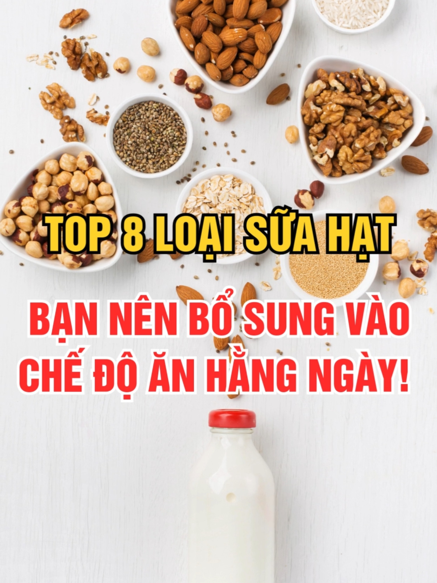 Top 8 loại sữa hạt tốt nhất mà bạn nên bổ sung vào chế độ ăn hằng ngày! #suahat #glucareplus #suahatdinhduong #tieuduong #tieuduongtuyp2 #songkhoemoingay