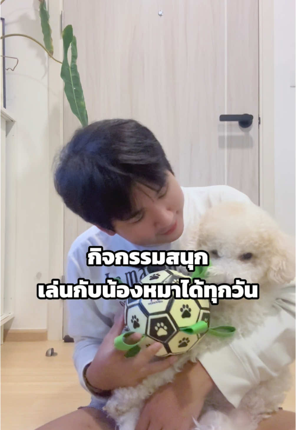 เล่นกับฮานี่ แฮปปี้ทุกวัน ด้วยลูกบอลเรืองแสง กิจกรรมสนุก ๆ ของคนเลี้ยงน้องหมา  #momovida #momovidaDT-8 #ลูกบอลเรืองแสง