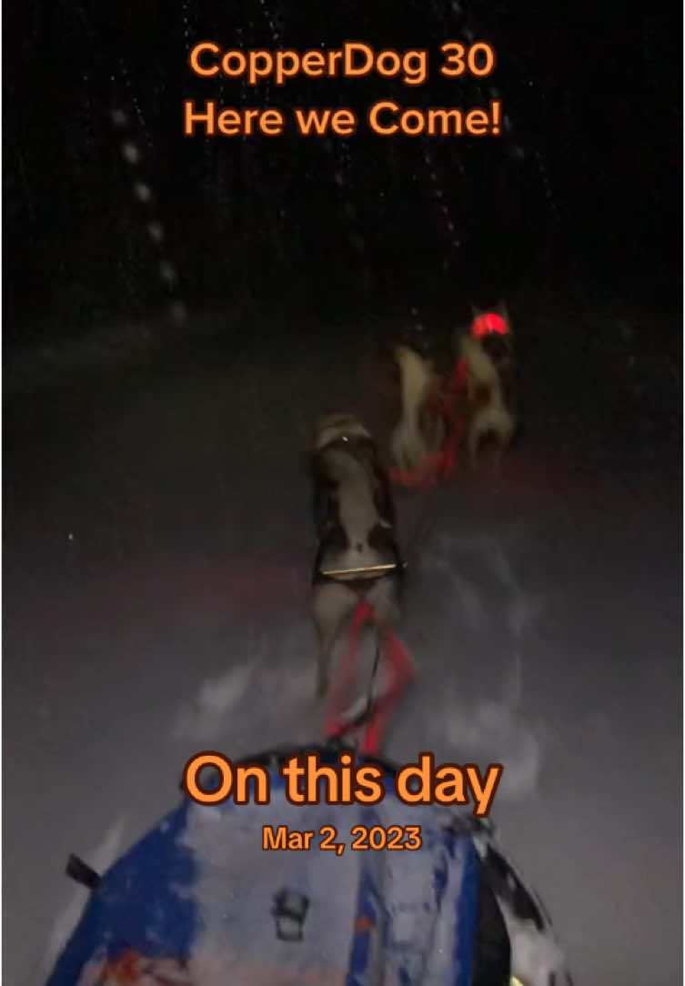 I had a stellar time this weekend at Copperdog hanging out and helping handle teams but it was also hard and I had a few moments I needed a second to myself. CopperDog was the last sleddog race I did and well my life is barely recognizable anymore and I have lost a lot that I can not have back. #onthisday #tamaskandog #sleddogs #copperdog