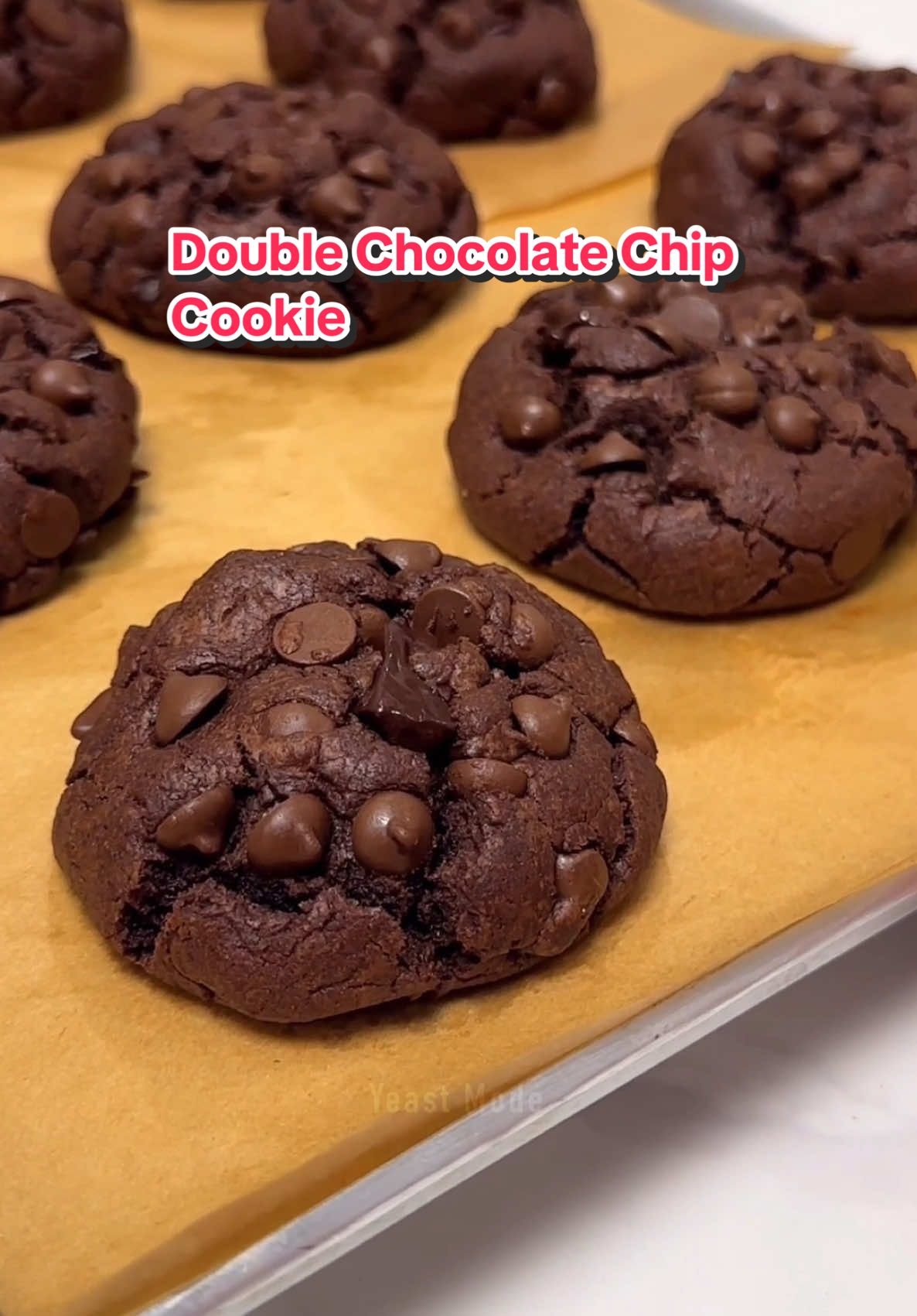 Double Chocolate Chip Cookie | Thick and No-Chill Cookie #Recipe ⤵️ Ingredients ✔️Wet Mixture 1/2 cup unsalted butter (115g) 1/2 cup brown sugar (100g) 1/2 cup white sugar (100g) 1 whole large egg (60g) 1 tsp vanilla extract (5ml) ✔️Dry Mixture 1 & 3/4 cups all purpose flour (240g) 1/4 cup unsweetend cocoa powder(25g) 1 tsp baking powder (5g) 1 tsp baking soda (5g) 1/2 tsp salt (3g) 1 cup chocolate chips (170g-200g) *Recipe yield: 9 pcs., 90grams each #cookies #chocolate #chocolatechip #baking #bakery #food #foodtiktok #baketok #tutorial #yeastmodeph 