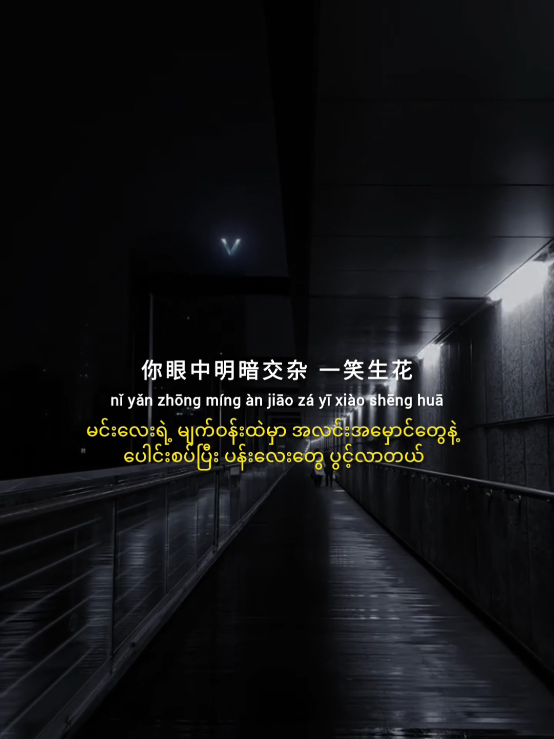 晚风吹起你鬓间的白发 #chinesesong #pinyin #songlyrics #music #song #tiktok #fyp 