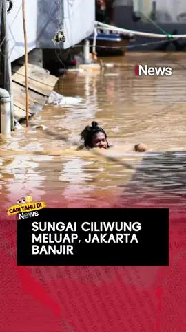 Banjir kiriman dari Bogor membuat Kali Ciliwung meluap dan merendam puluhan RT di Jakarta Selatan dan Jakarta Timur.  #BanjirJakarta #Banjir #Ciliwung #SungaiCiliwung #iNews #iNews_MF #fyp 