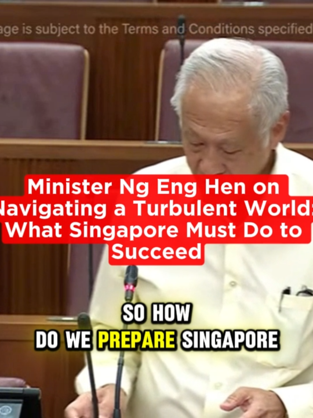 Defense Minister, Dr. Ng Eng Hen, on how Singapore must prepare to navigate the turbulent world. #sgfyp #sgtiktok #ngenghen #singaporedefence