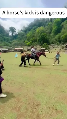 Funny horse #fyp #usa_tiktok #usa🇺🇸 #funnyvideos #fouryou #funny #funnypet #horse 