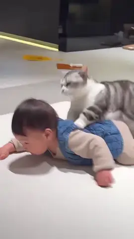 Cat vs kid #cat #funny #catoftiktok #funnyvideos #kid 