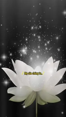 #CapCut # Mẹ đã rời xa chúng con rồi…❤️🙏🙏🙏🙏💫💫💫✨✨✨#nhachaymoingay #tamtrang_camxuc #radiotamtrang #mecuachungcon💞 #daolamcon👨‍ #hieuthaochame #lenxuhuong_tiktok #xuhuongtiktok2025☘️🍀♥️😘🥰 