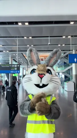 And the winner is… 🏆  (with almost 60k votes)  #dublinairport 