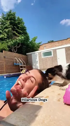 Dog:”It's okay. It'll be over soon” 🐶 #dog #funny #funnydog #fyp #😂😂😂 #🤣🤣🤣 