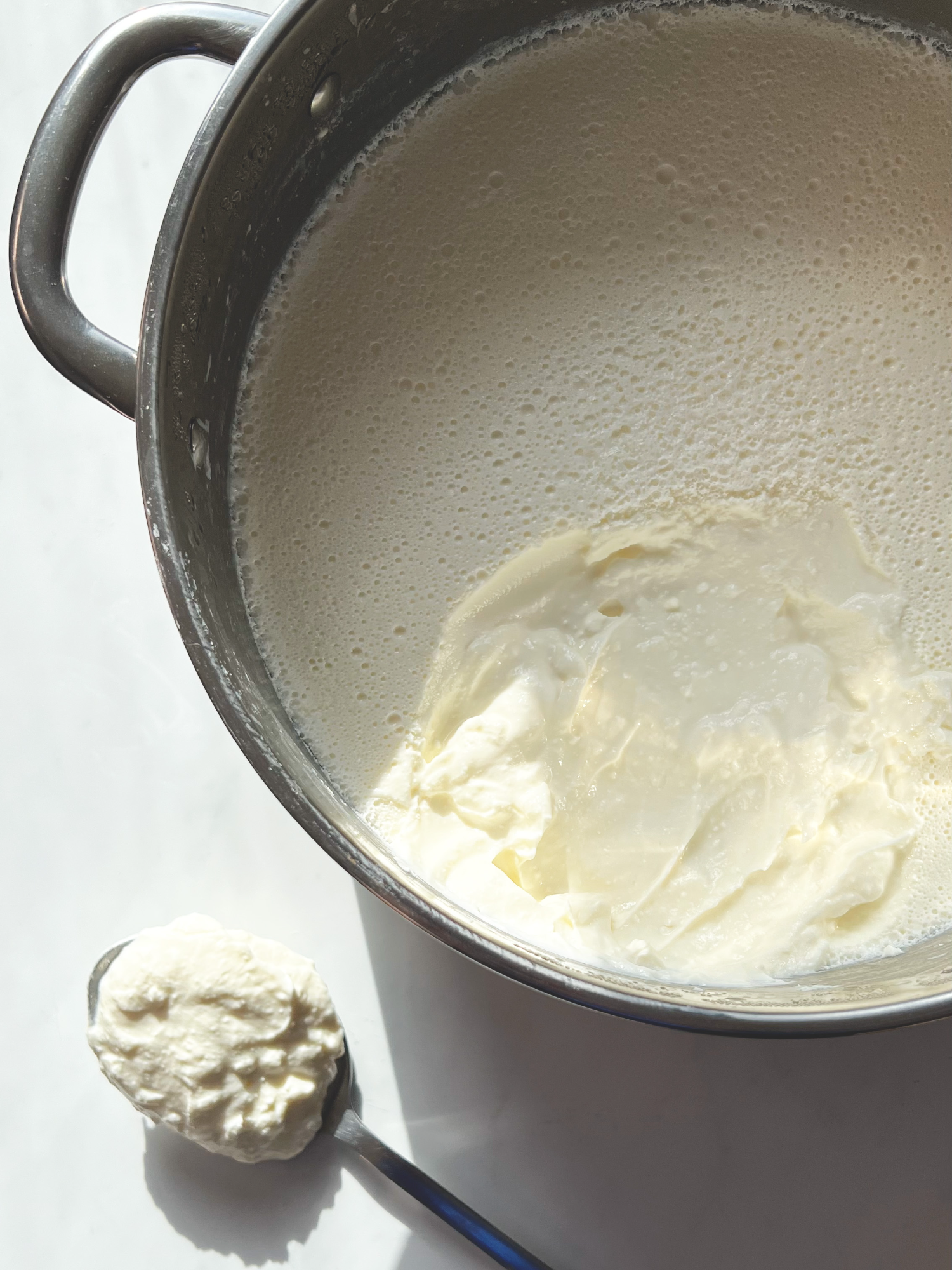 Homemade Yogurt | روب منزلي الروب / الزبادي / اللبن من أسهل الأشياء التي يمكن تحضيرها في البيت ويمكن استخدامه في العديد من الأكلات. كل ما تحتاجونه هو مكونين، ميزان حرارة، بطانية وبعض الوقت! الطعم في الآخر أطيب مليون مرة من أي روب تشترونه جاهز. Yogurt is one of the easiest things to make at home and can be used in many dishes. All you need is two ingredients, a thermometer, a blanket and some time! The taste is a million times better than any store-bought one 5 لتر حليب كامل الدسم (أو 5 لتر ماء مع 1/2 7 كوب حليب بودر) 2 كوب روب كامل الدسم بحرارة الغرفة * يسخن الحليب لدرجة حرارة 82 مئوية مع التحريك ثم يترك ليصل لدرجة حرارة 42 مئوية. * يضاف له الروب ويخلط جيدا، يغطى ويلف ببطانية. * يترك بحرارة الغرفة أو في مكان دافئ قليلا دون تحريك لمدة 18-24 ساعة حسب درجة الحموضة المطلوبة، وقت أطول = حموضة أكثر. * يبرد في الثلاجة حوالي 8 ساعات. * يخزن في الثلاجة ويستهلك خلال اسبوعين ويمكن إعادة استخدامه لعمل المزيد من الروب. 5 liters of whole milk (or 5 liters of water with 7 1/2 cups of powdered milk) 2 cups of full-fat plain yogurt at room temperature * Heat the milk to 82 degrees Celsius stirring every now and then, then leave it to reach 42 degrees Celsius. * Add the yogurt and mix well, cover and wrap with a blanket. * Leave at room temperature or in a slightly warm place without moving for 18-24 hours depending on the desired acidity, longer time = more acidity. * Chill in the refrigerator for about 8 hours. * Store in the refrigerator and consume within 2 weeks, it can also be reused to make more yogurt.