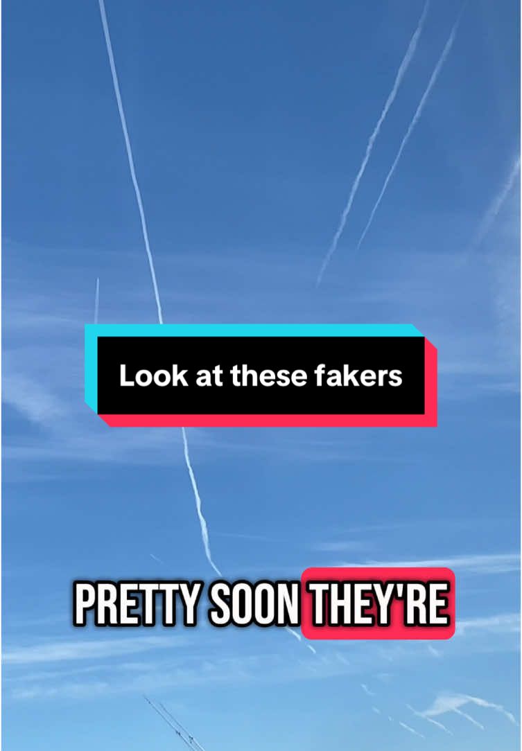 South Carolina Fake clouds aren’t working and now there are wildfires. Let’s goooooo!!!! What game you all playing up there? #sc #fakeclouds #chemtrails #wildfires 