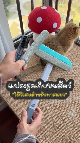 แปรงเก็บขนสัตว์เลี้ยง 3in1 ไม่ง้อกาว 👏🏻 #แปรงเก็บขนแมว #แปรงเก็บขนสัตว์เลี้ยง #ที่รูดขนแมว #ที่รูดขนสัตว์ #ทาสแมว 