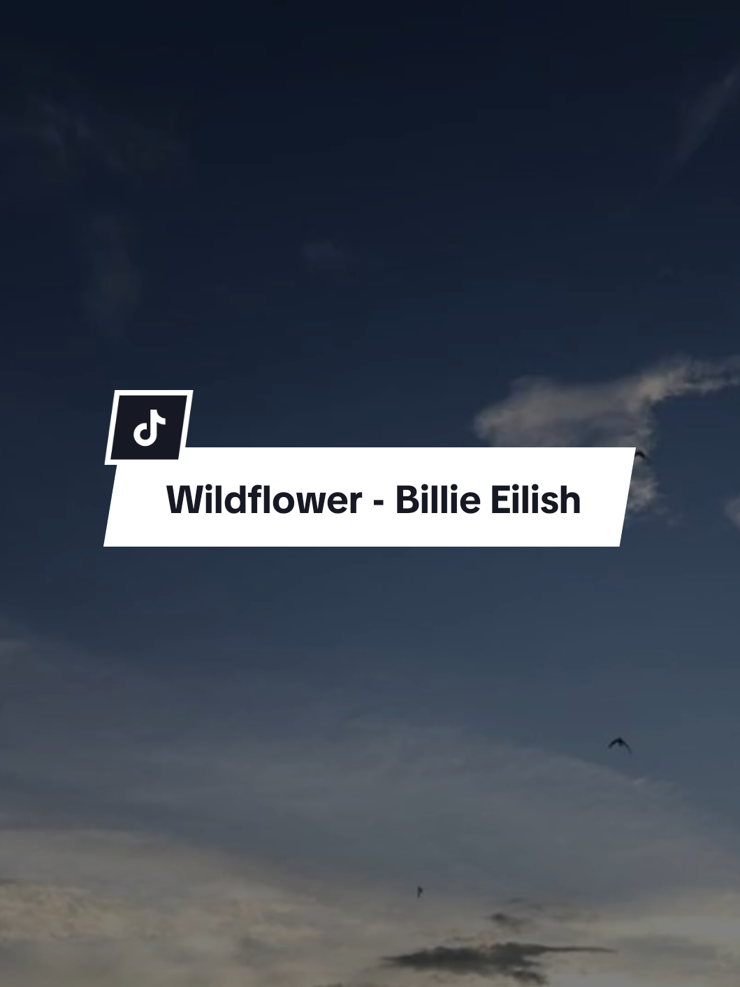 Wildflower - Billie Eilish (MMsub) (