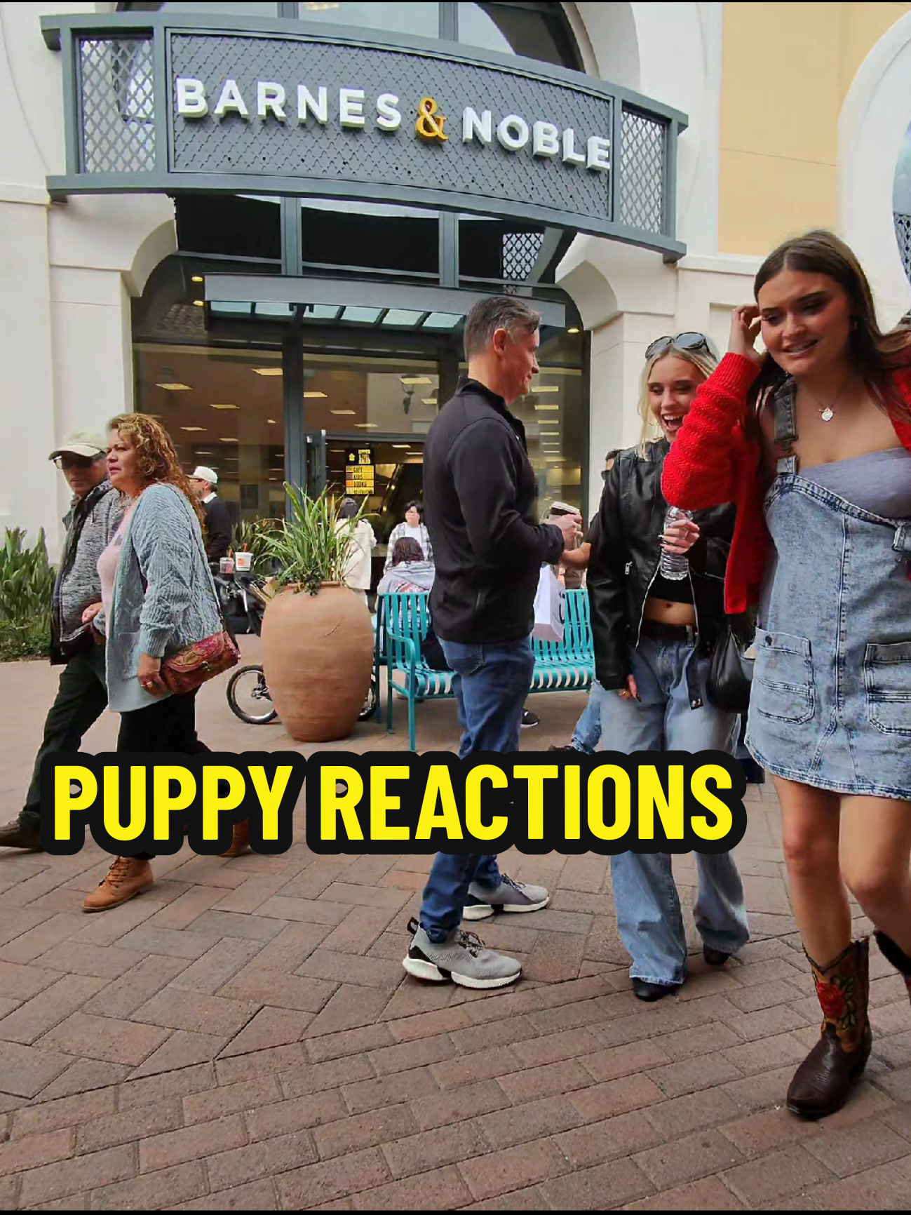 Puppy Love: Girls Go Wild at Irvine Spectrum! Join us for a fun day at Irvine Spectrum where adorable puppies steal the show! Watch as excitement unfolds and girls can't resist these furry friends! #PuppyLove #IrvineSpectrum #AdorablePuppies #TikTokFun #GirlsDayOut #MustWatch 