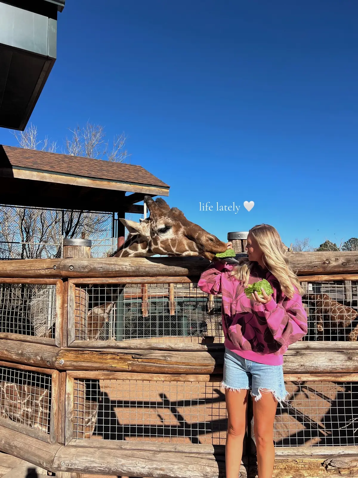 🦒🐬🍦🏞️🐶👯‍♀️📸