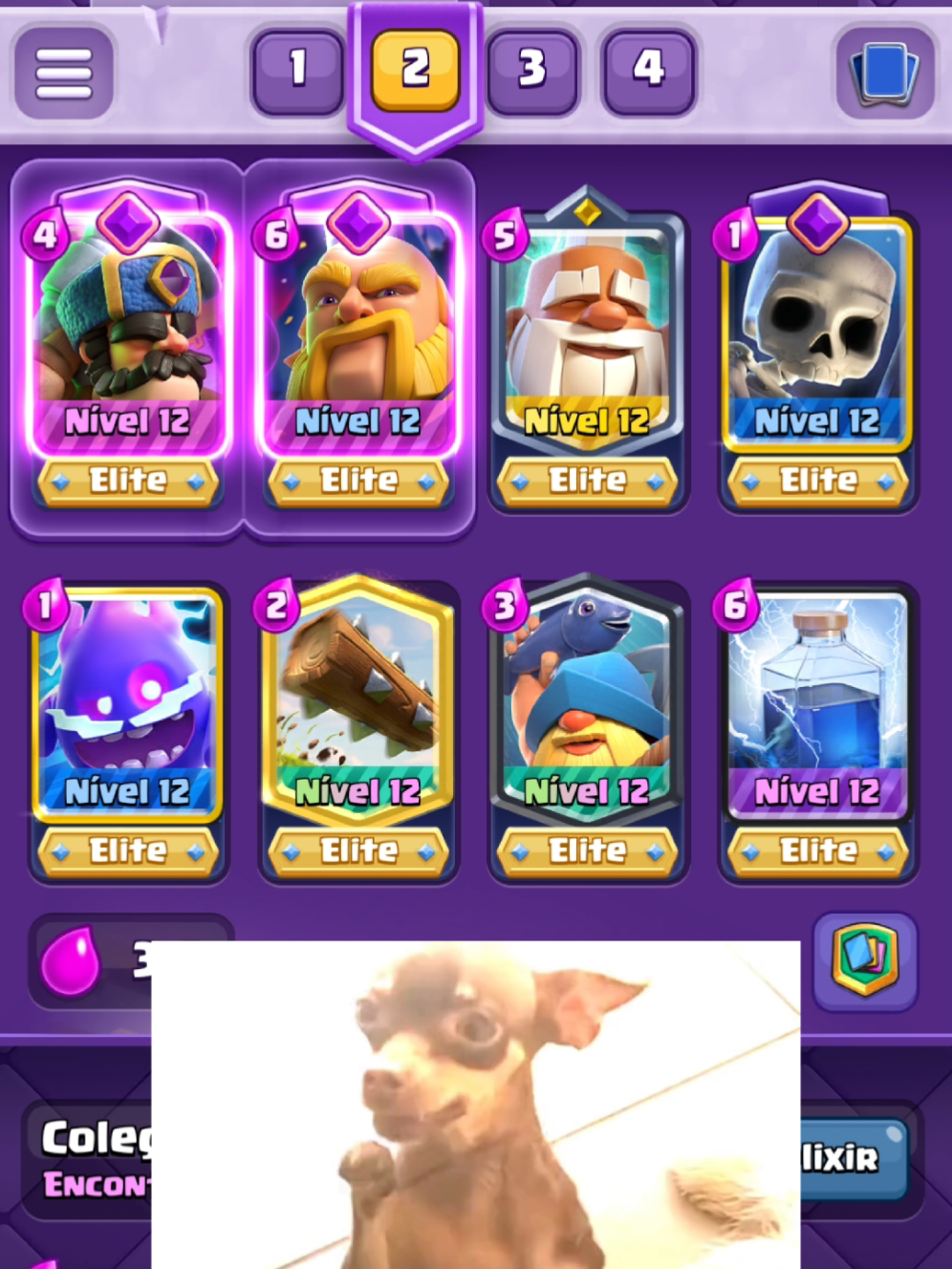 evolved Hunter deck #clashroyale 