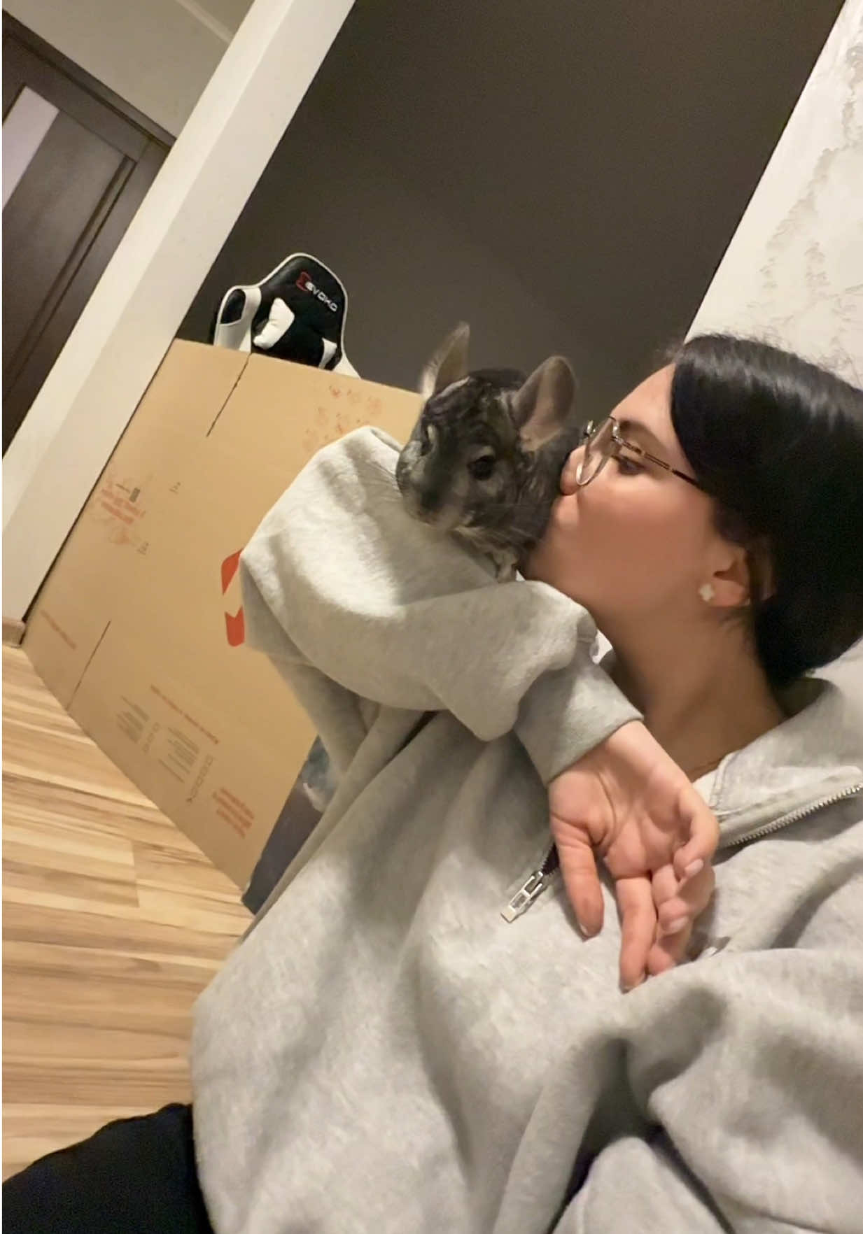 Вилізли на голову ПАСКУДКИ😁😁🥹#chinchillas #шиншила #рекомендації#шиншиллята#українапонадусе#рекомендації #гризуниукраїни #гризуни #chinchillasoftiktok #україна🇺🇦👍 #рекомендаціїукраїна #рек #рекомендация#шиншилла🐭 #україна🇺🇦 #рекомендації❤️❤️#рекомендаціяукраїна#chinchillalove 