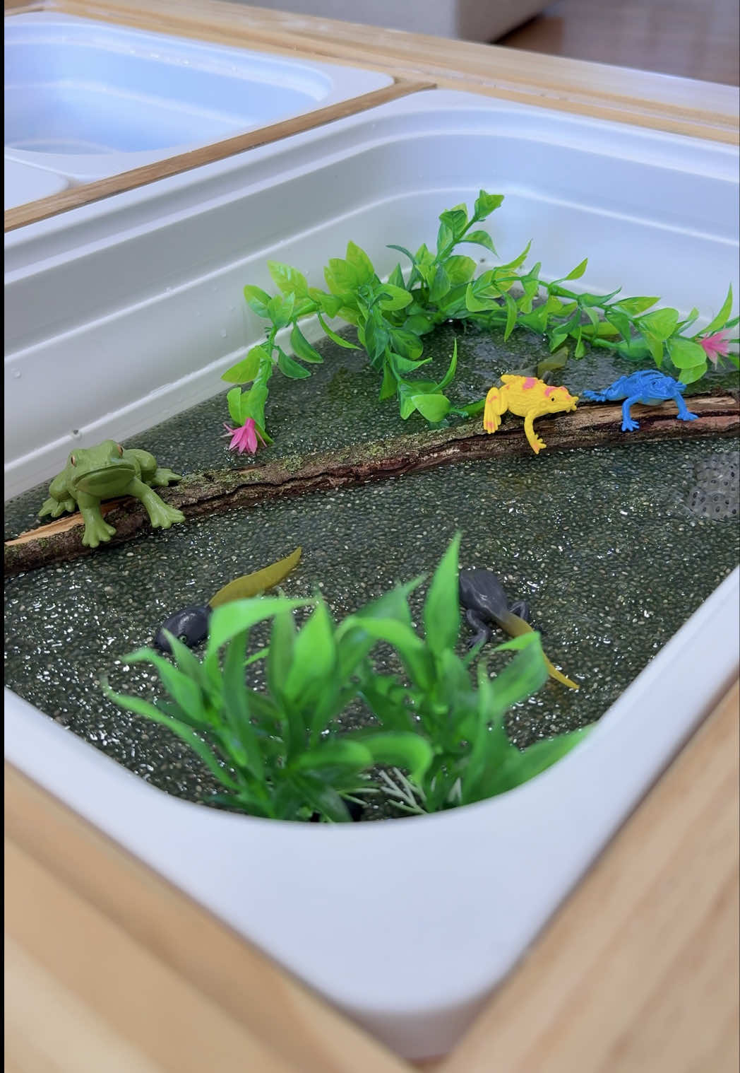 We had so much fun exploring the frog life cycle with this sensory bin! The kids loved squishing the chia seed slime and watching the fizzy lake water bubble. Hands-on learning like this makes science so exciting! Share this idea with a mama! 🐸 Swamp Water  •1 1/2 cups chia seeds  •5 cups water  •Green food coloring  Directions Mix everything together and refrigerate for 2 hours.   Fizzy Lake Water  •Water  •Blue Food Coloring  •Baking soda  •Vinegar  #preschoolactivities #sensorybin #sensoryplayideas #scienceforkids #momlife #learnthroughplay 