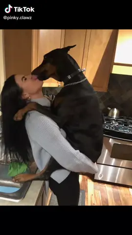 #dogsofinstagram #dogsoftiktokviral #dogsloversvideos #dogsotiktok #dogslover #dogs #dogsvideo #dogknotting #dogslovers💖💖💞 #dogslovers #dogslovers #dogstagram #dogslove #dogslife #dogslovers😍😍😍 