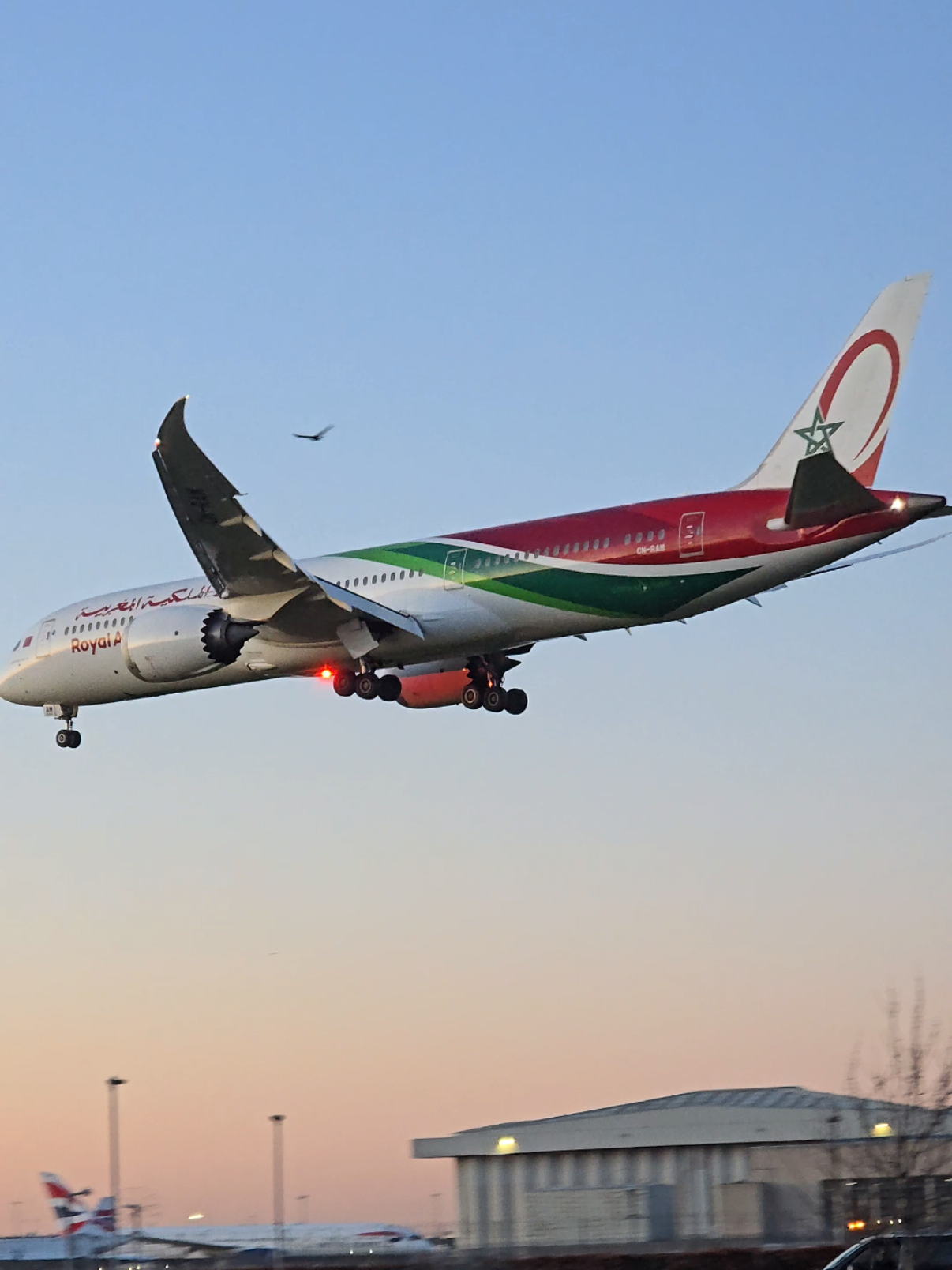 Royal Air Maroc Boeing 787 sunset landing 🤩  #airport #airplane #boeing #boeing787 #royalairmaroc #landing #sunsets #london 