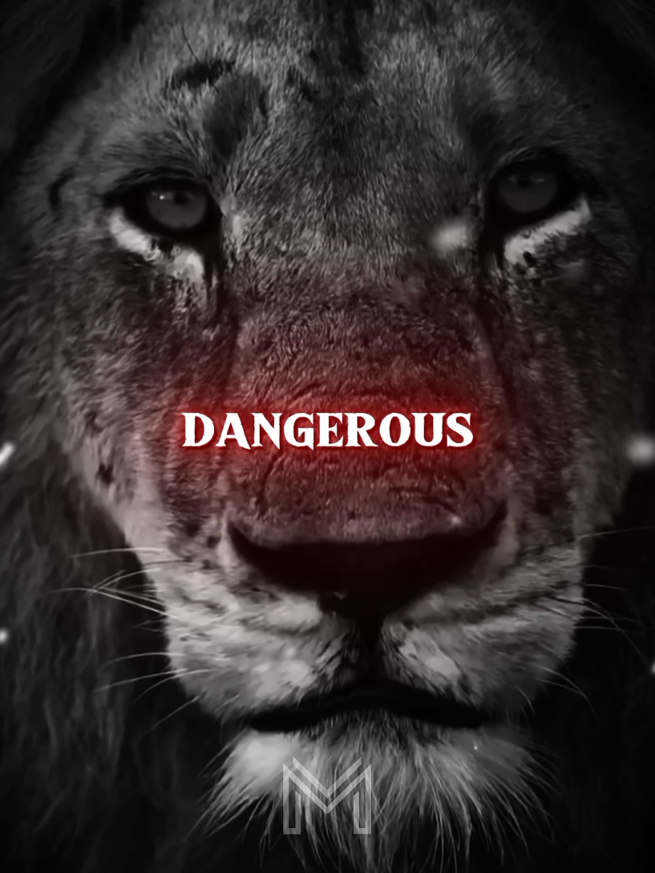 Most Dangerous Anger... . #motivation #usa #usa_tiktok #unfreezemyaccount #listentothiseveryday #growbeyoundyourlimits #yourblessingiscoming #quotesoftheday #fyp #motivationalquotes #inspirationalquotes #motivationalspeeches #bravemind #stoicism #mindset #quotes #inspiration #peakmotivation 